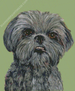 Black Shih Tzu Dog Diamond Painting