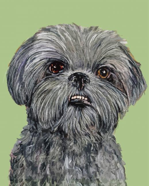 Black Shih Tzu Dog Diamond Painting