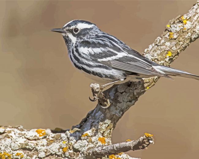 Black And White Bird Sparrow Diamond Painting