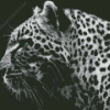 Cheetah Diamond Painting