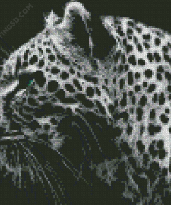 Cheetah Diamond Painting