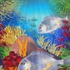 Bream Fish Underwater Diamond Painting