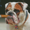 Bulldog Smoking Cigar Diamond Painting