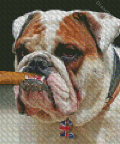 Bulldog Smoking Cigar Diamond Painting