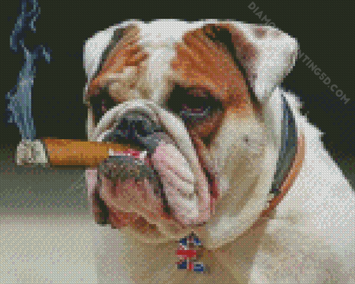 Bulldog Smoking Cigar Diamond Painting