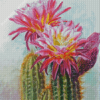 Cactus And Flowers Art Diamond Painting