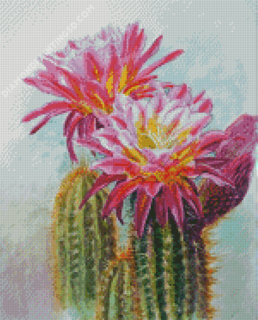 Cactus And Flowers Art Diamond Painting