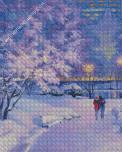 Central Park New York In Winter Diamond Painting