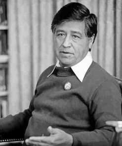 Activist Cesar Chavez Diamond Painting