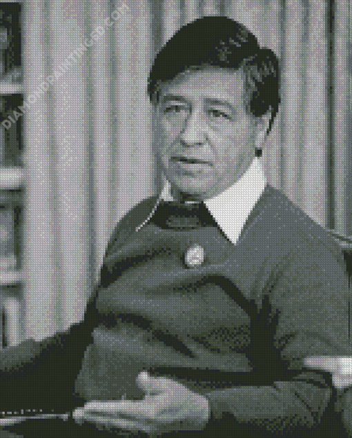 Activist Cesar Chavez Diamond Painting