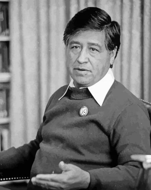 Activist Cesar Chavez Diamond Painting