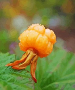 Cloudberry Fruit Diamond Painting