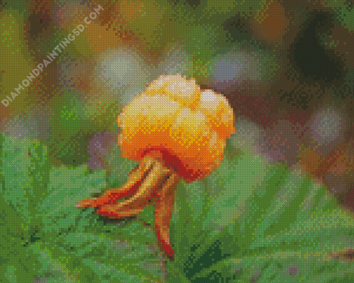 Cloudberry Fruit Diamond Painting