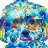 Colorful Abstract Shih Tzu Diamond Painting