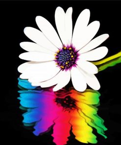 Colorful Daisy Reflection Diamond Painting