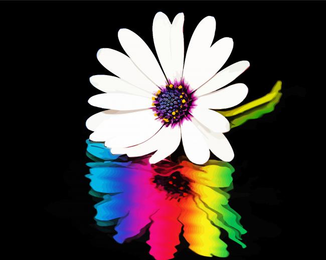 Colorful Daisy Reflection Diamond Painting