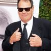 Dan Aykroyd Diamond Painting