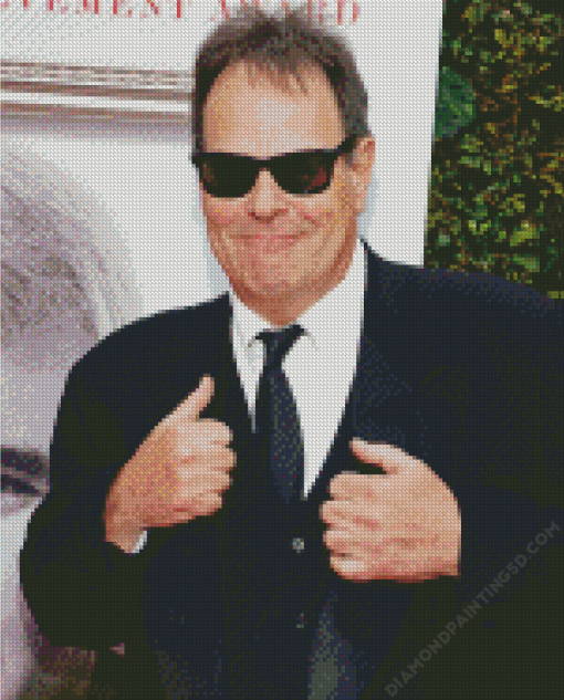 Dan Aykroyd Diamond Painting