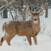 Deer In Snow Diamond Painting