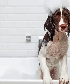 Dog In Bath Diamond Painting