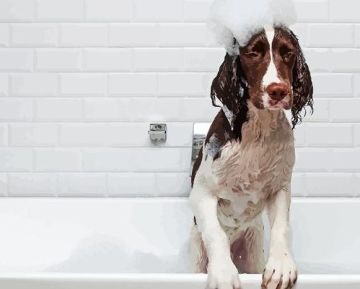 Dog In Bath Diamond Painting