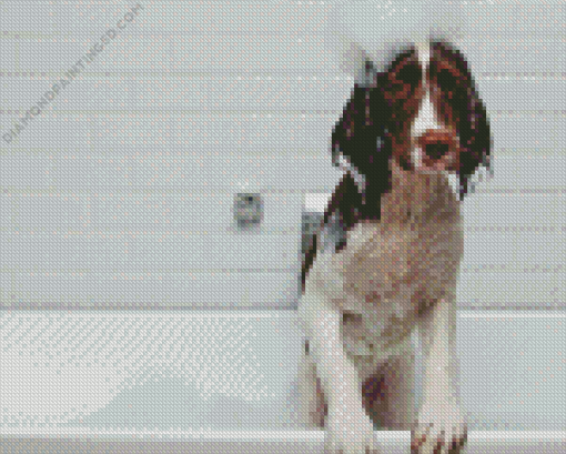 Dog In Bath Diamond Painting