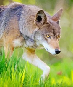 Eastern Wolf Diamond Painting