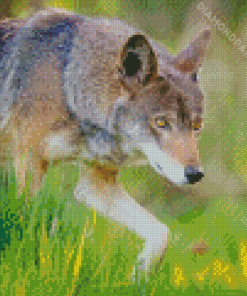 Eastern Wolf Diamond Painting