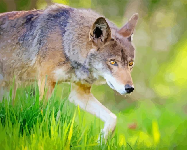 Eastern Wolf Diamond Painting