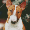 English Bull Terrier Dog Diamond Painting