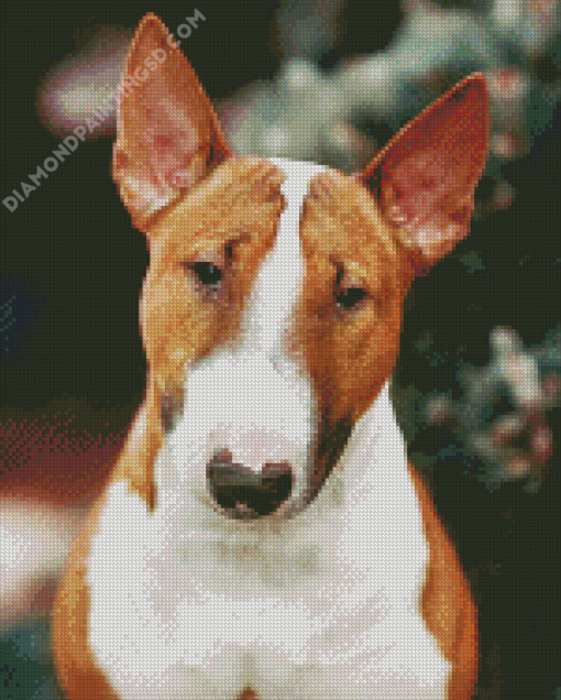 English Bull Terrier Dog Diamond Painting