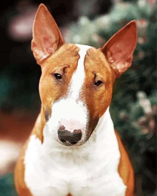 English Bull Terrier Dog Diamond Painting