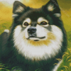 Finnish Lapphund Art Diamond Painting