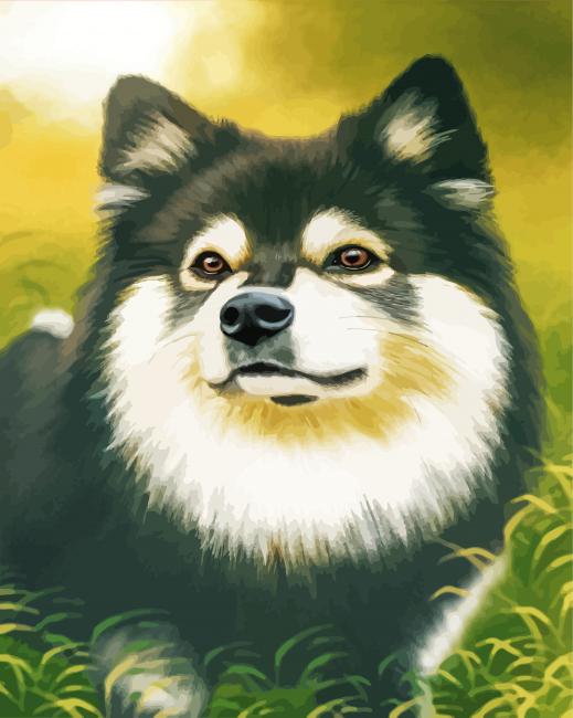 Finnish Lapphund Art Diamond Painting