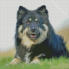 Finnish Lapphund Diamond Painting