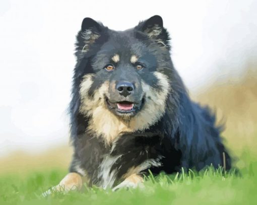 Finnish Lapphund Diamond Painting