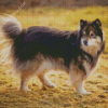 Finnish Lapphund Dog Diamond Painting