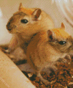 Gerbil Diamond Painting