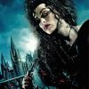 Harry Potter Bellatrix Diamond Painting