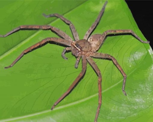 Huntsman Spider On Leaf Diamond Painting