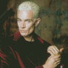 James Wesley Marsters Actor Diamond Painting