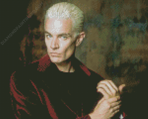 James Wesley Marsters Actor Diamond Painting