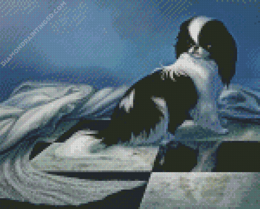 Japanese Chin Diamond Painting