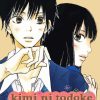 Kimi ni Todoke Diamond Painting