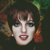 Liza Minnelli Diamond Painting