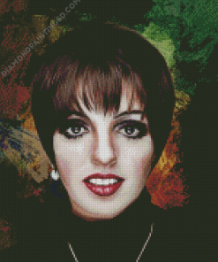 Liza Minnelli Diamond Painting