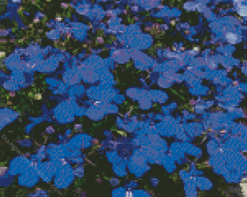 Lobelia Diamond Painting