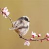 Long Tailed Tit On a Tree Diamond Painting