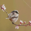 Long Tailed Tit On a Tree Diamond Painting