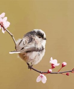 Long Tailed Tit On a Tree Diamond Painting